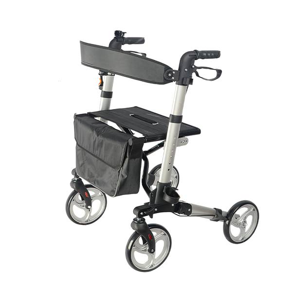 Khung Tập Đi Có Giỏ Lucass W-89